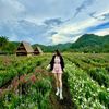 htoo11111