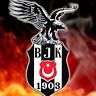 y1g1t1903