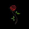 emirrrrrrr6_