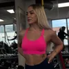 gabrielabnt_fit