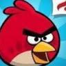 angrybirde316