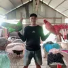 tuanmanst83
