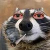 sonic_xxxxxxx