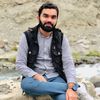 syedhamidgillani