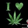 madisonwilkins_420