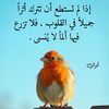 event.tabuk