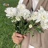 citatobbq_3