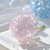 kimmu_kate22