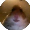 hyryzynp