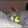 rvasoupy