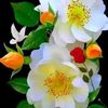 user0122548