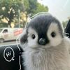 pikaajayaa0