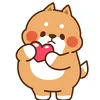cuong.akashi