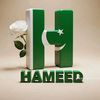 hameedgull3