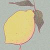 chie...1