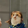cobehandoi