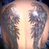 ken_coi2017