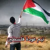 elsaydghanem