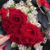 chouchou_sed