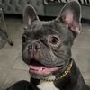 Vivian Morejon Cernada