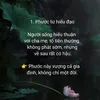 won_baoboi
