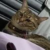 monnydeem