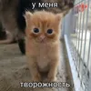 raz0.0m