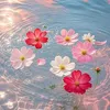 lienhoa_159