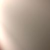 cabybara122354