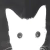 gargasniped