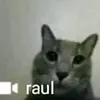 milksoup45