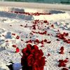 yaseer_1234