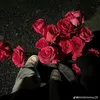 meo_120319