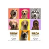 sirokpackph_
