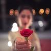 Mawar Merah 🌹