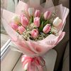 saraabonaser31
