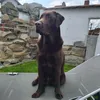 tina_und_findus
