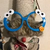 cookiemonsterglasses