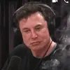 elonfckingmusk