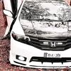uzairshahcarlovers