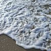 sea.sundara