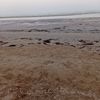 sulgun_h2