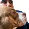 wilflorez