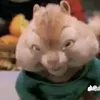 robbanccs