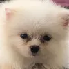 nhiluoncuoi