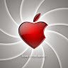 mohamedkolaly8