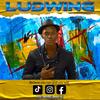 ludwingmusic