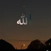 Servant of Allah