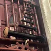 kutyhaycuoi
