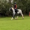 dawnlouise80
